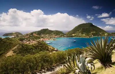 Crise de l'eau en Guadeloupe : impact sur les rites funéraires et l'industrie du funéraire<