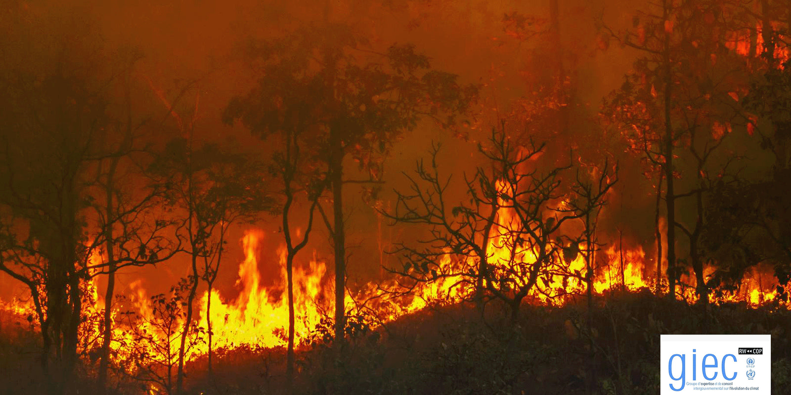 Les cérémonies funéraires face à la crise climatique
