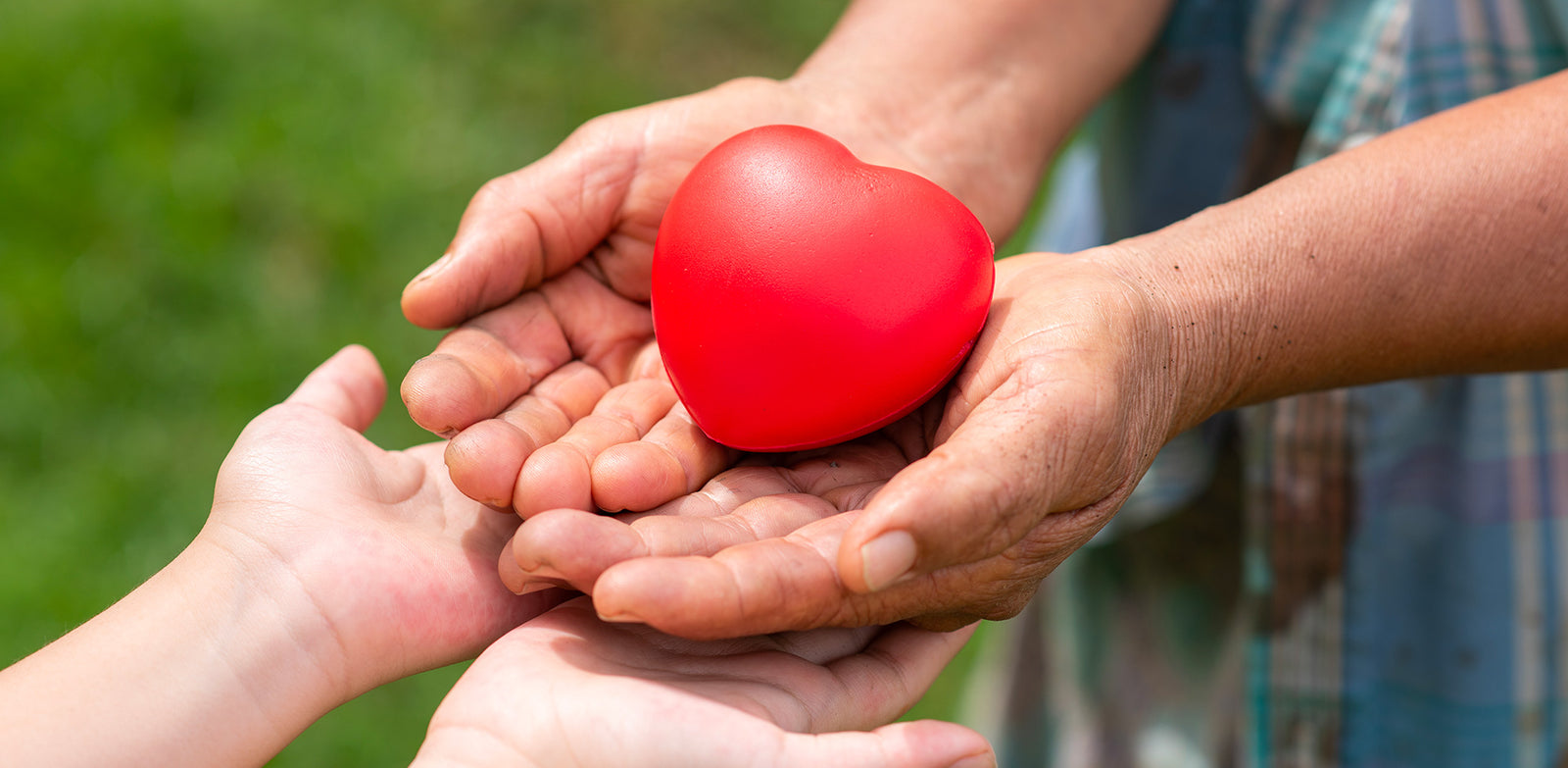 Donation ou succession : comment faire la transmission de son patrimoine ?