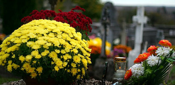 La Toussaint: Son utilité et pour quelles occasion ?