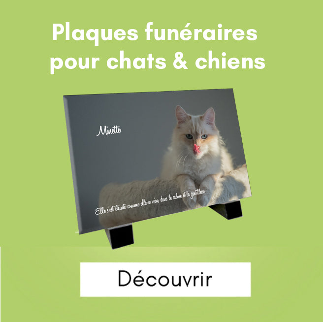 Plaques funéraires pour chats & chiens