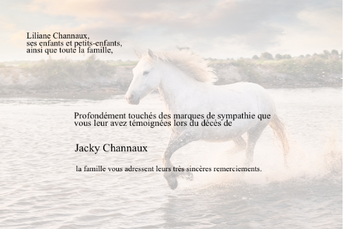 Cartes de Remerciements <br> Décès " Cheval "