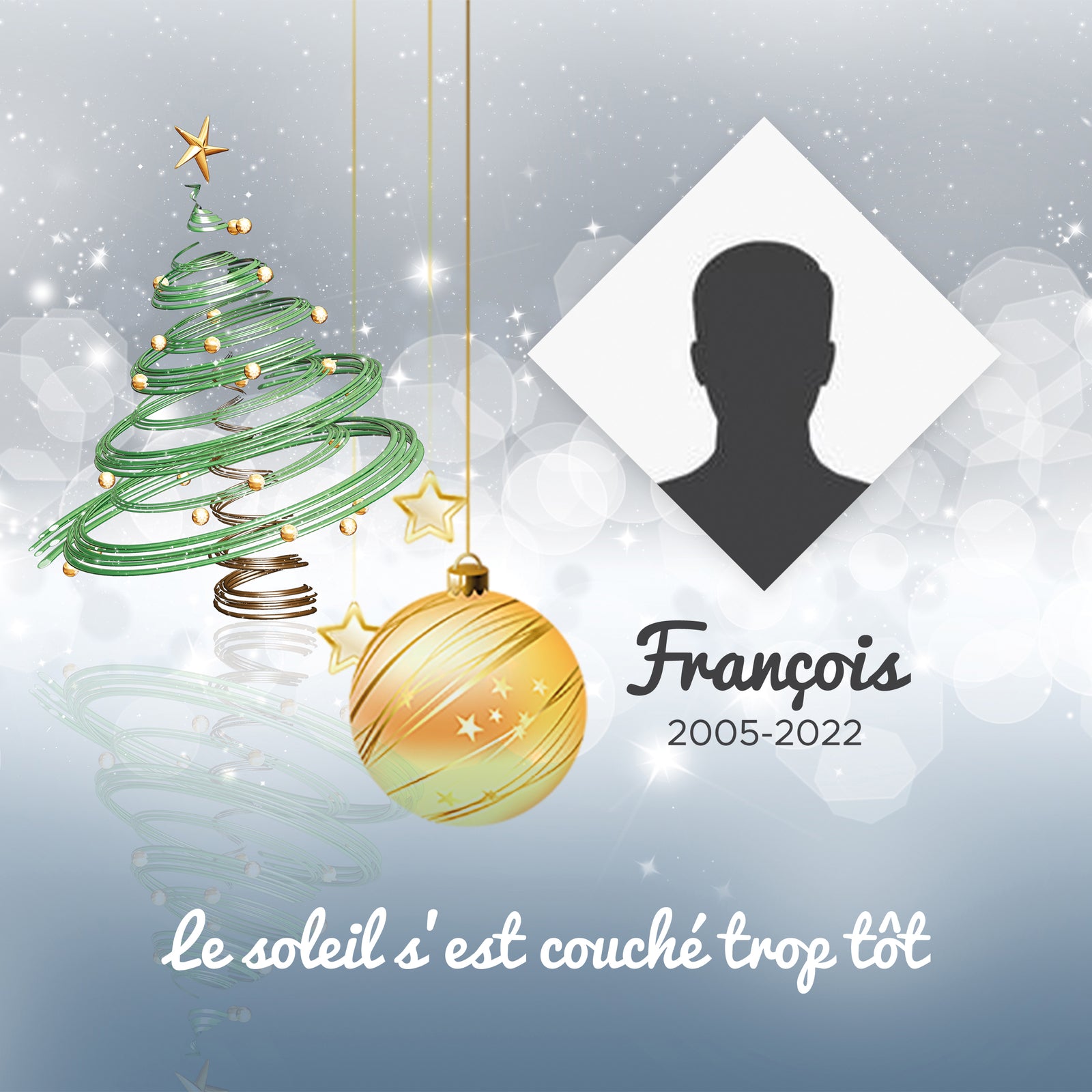 🎨 Déco Créative : Plaques Photo FOREX® sapin de noel