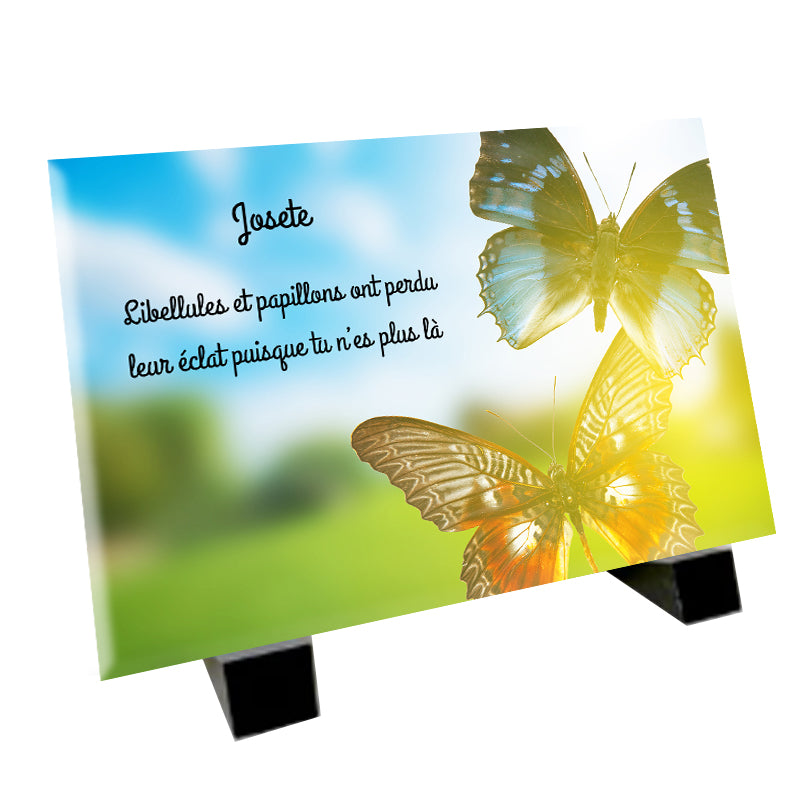 Plaque Funéraire vol de papillons