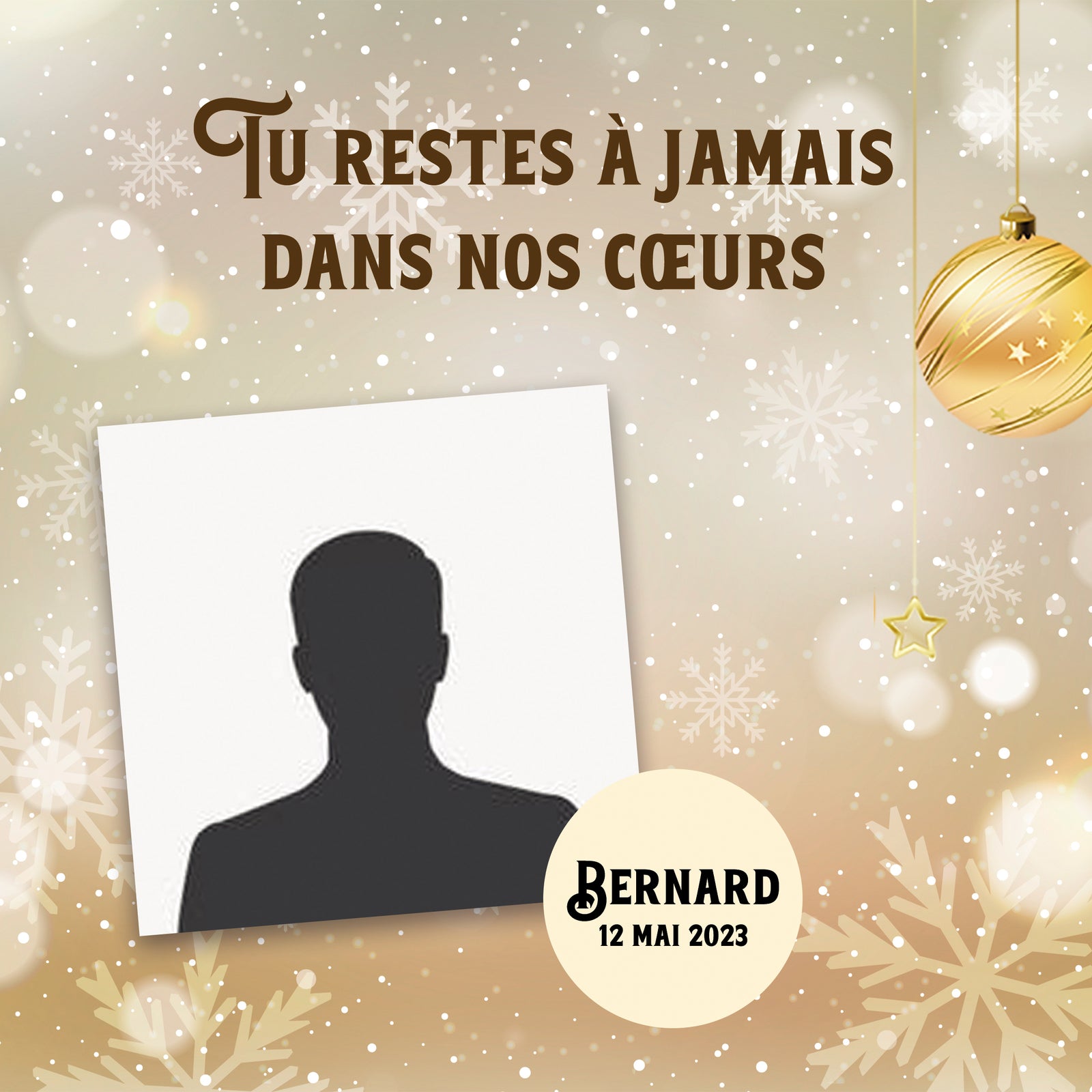 🎨 Déco Créative : Plaques Photo FOREX® Boule de noel