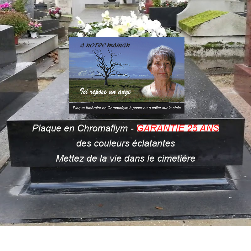 plaque pierre tombale avec photo |  Modèle photo pierre tombale | La boutique des petits anges™