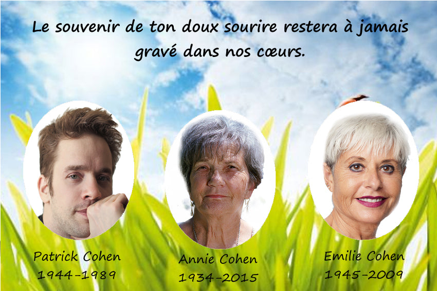 plaque funéraire modèle hautes herbes | https://lesplaquesdespetitsanges.com