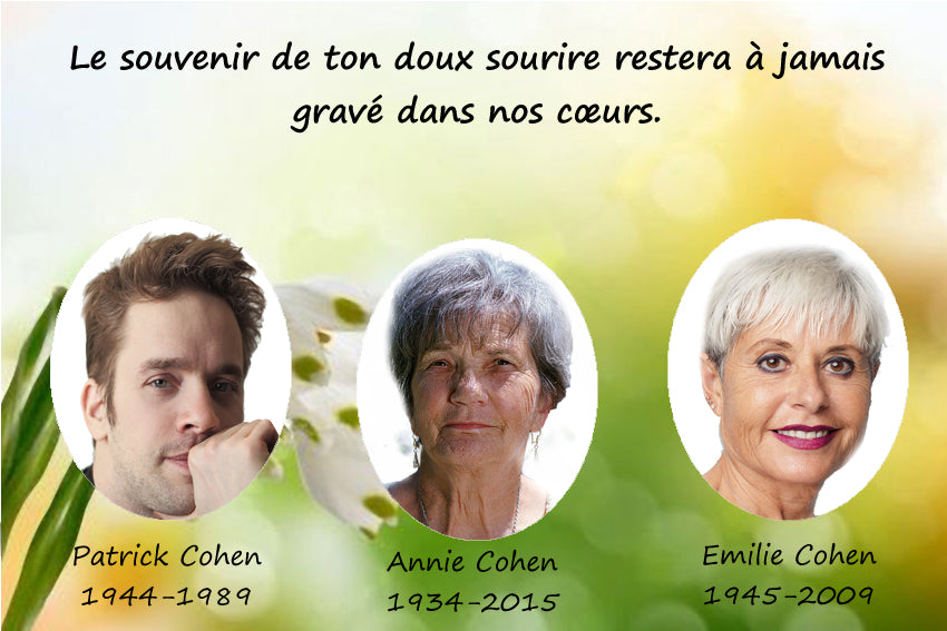 plaque funéraire modèle champ vert | https://lesplaquesdespetitsanges.com