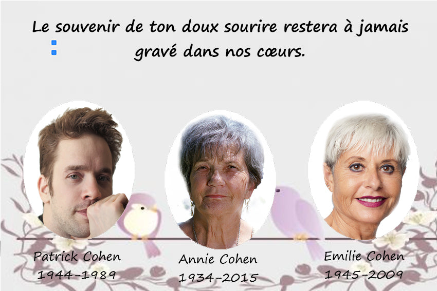 plaque funéraire modèle paysage mauve avec oiseaux | https://lesplaquesdespetitsanges.com/