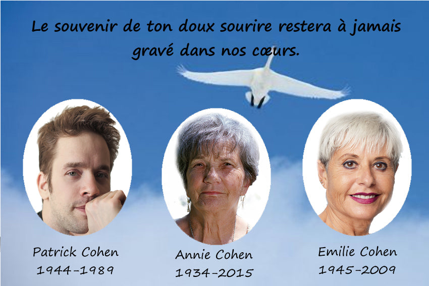 plaque funéraire modèle oiseau dans le ciel | https://lesplaquesdespetitsanges.com/