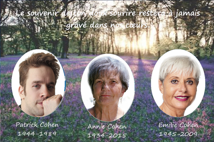 plaque funéraire modèle champ arboré | https://lesplaquesdespetitsanges.com/