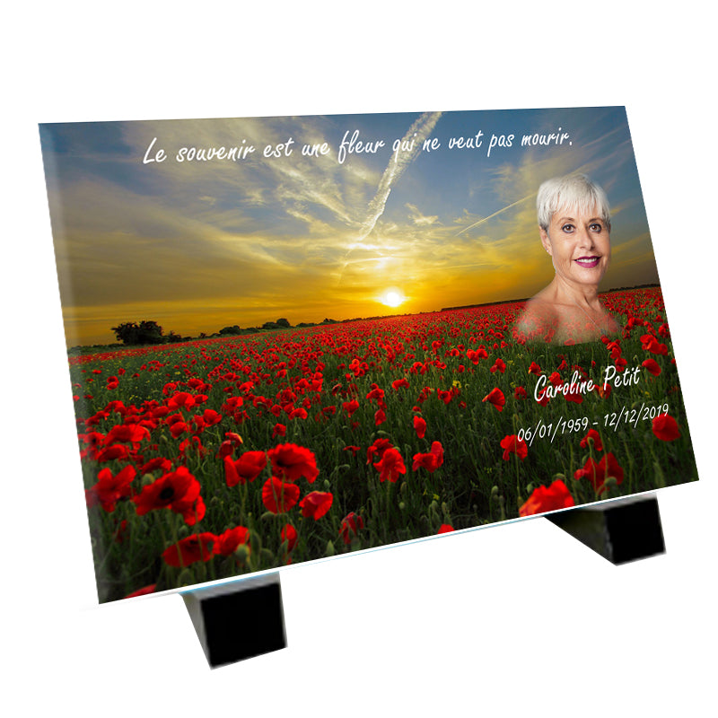 plaque funeraire dans un champ de coquelicot