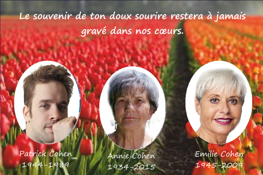 plaque funéraire modèle fleur rouge | https://lesplaquesdespetitsanges.com/