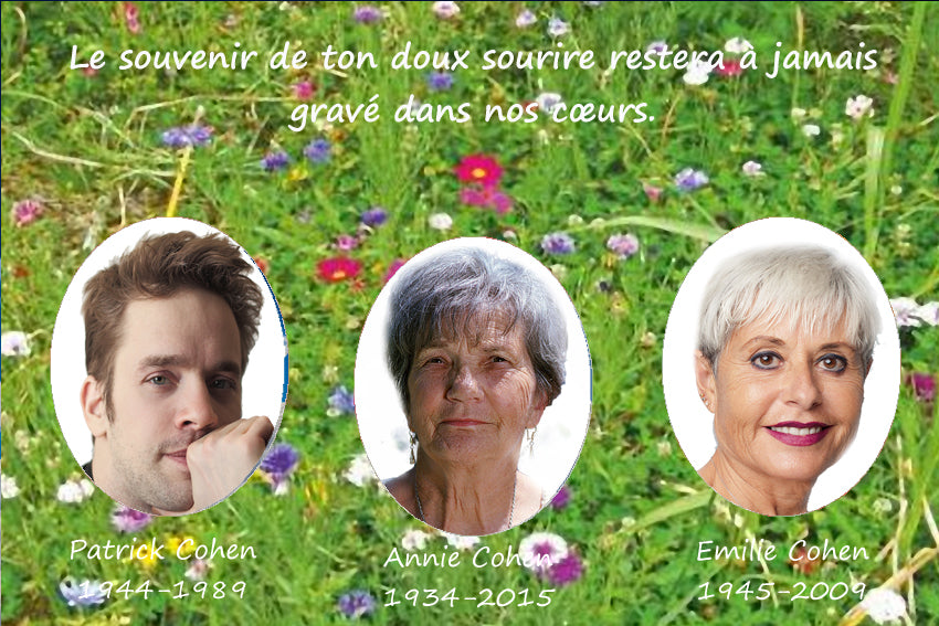 plaque funéraire modèle champ fleuri | https://lesplaquesdespetitsanges.com/