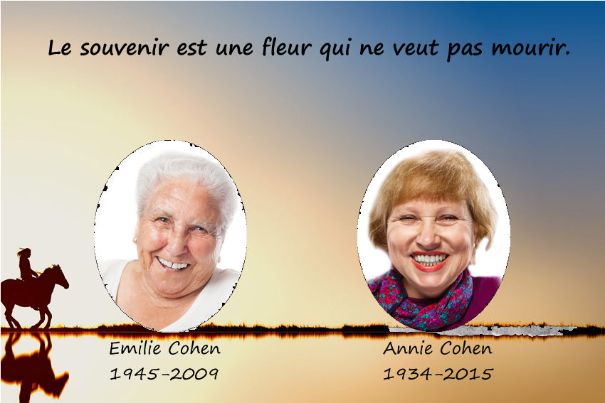 plaque funéraire modèle promenade sur le lac | lesplaquesdespetitsanges.com/