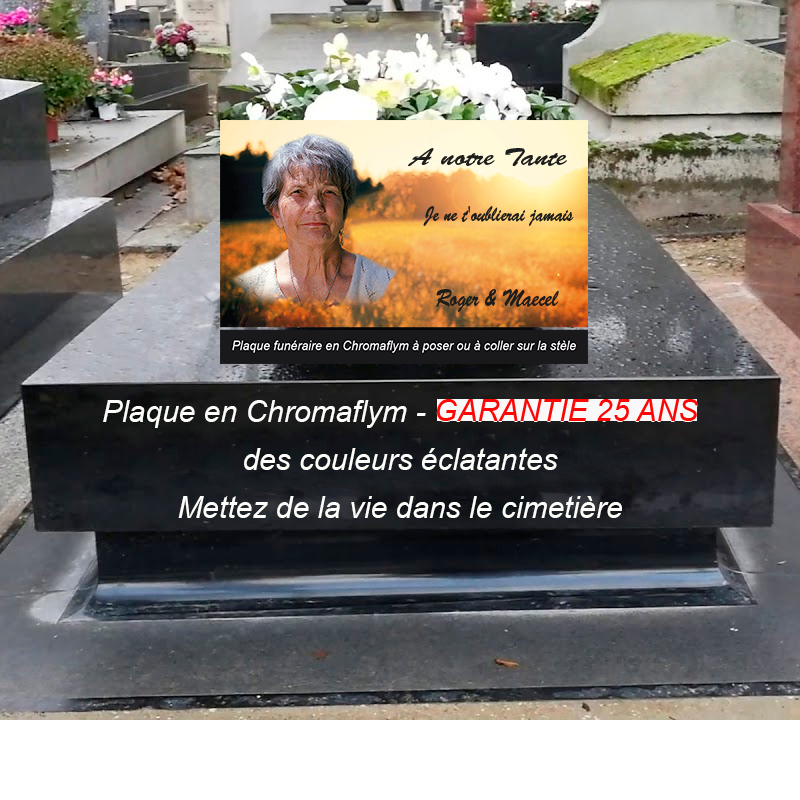 plaque pour tombe avec photo et texte | La boutique des petits anges™
