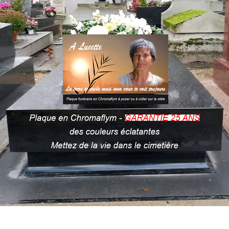 plaque tombale originale avec photo | Modèle photo pour pierre tombale soleil orange | La boutique des petits anges™