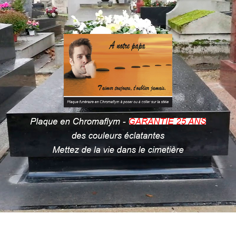 plaque à personnaliser pour stèle avec photo | La boutique des petits anges™ 