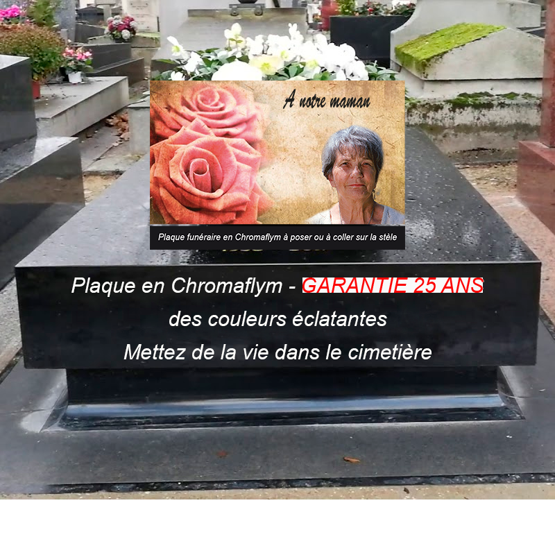 Plaque funéraire rose avec photo à personnaliser