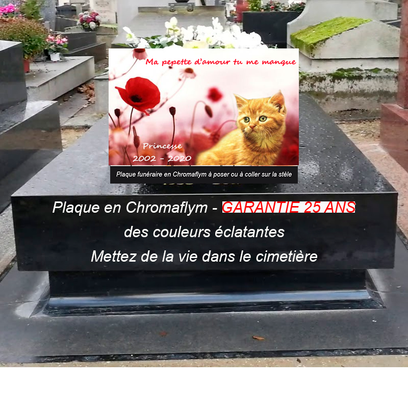 plaque funéraire pas cher avec photo à personnaliser | modèle chat | La boutique des petits anges™  