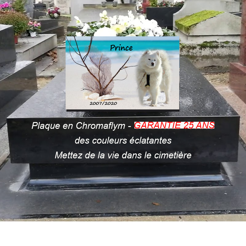 Plaque cimetière animaux | Modèle chien | La boutique des petits anges™