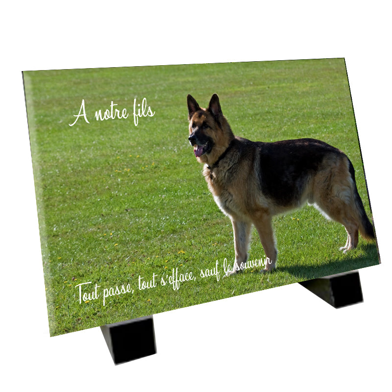 Plaque funéraire représentant un berger allemend