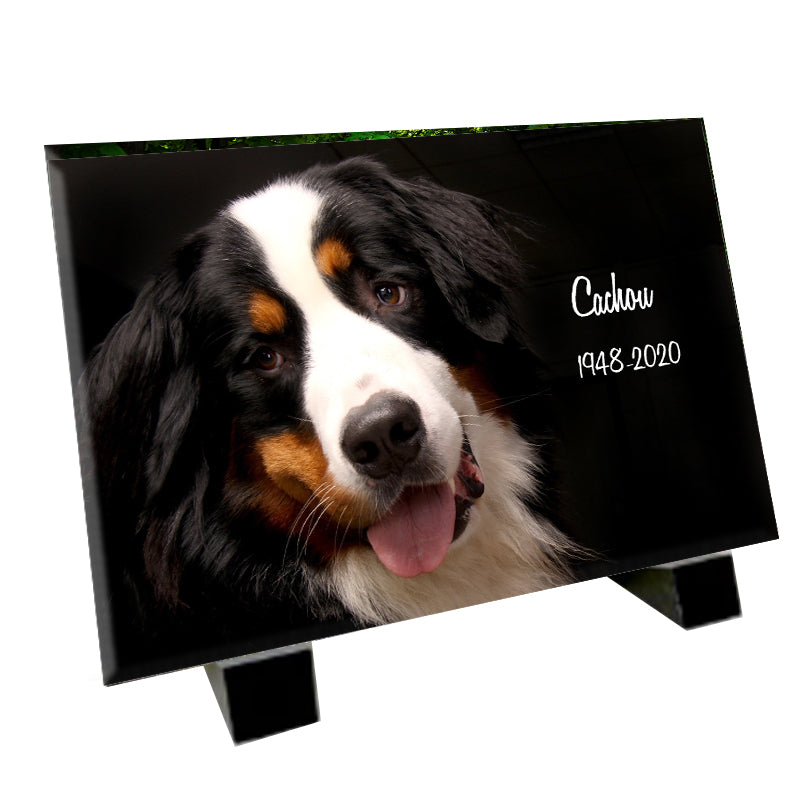 plaque funéraire représentant un Bouvier Bernois