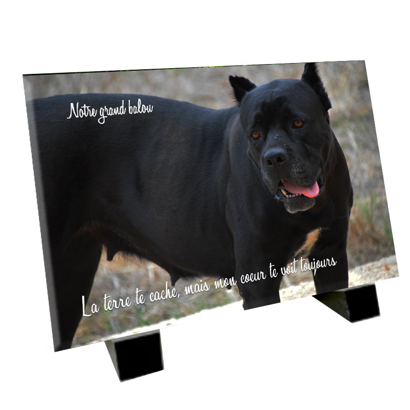 Plaque funéraire représentant un Cane Corso
