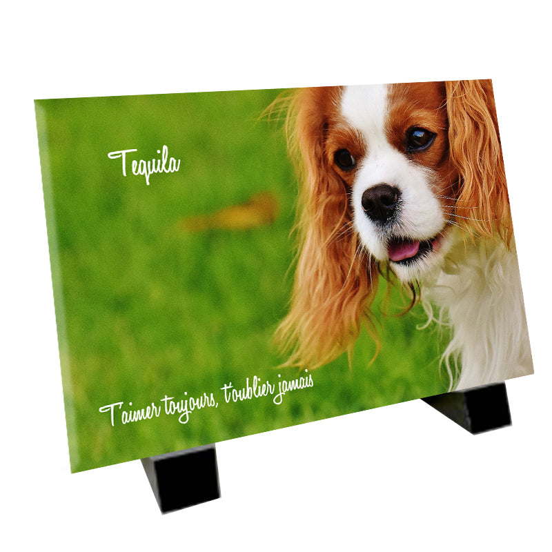 Plaque funéraire représentant un Cavalier King Charles