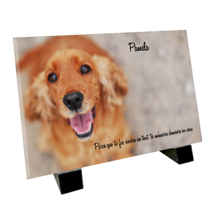 Plaque funéraire représentant un Cocker Spaniel Anglais