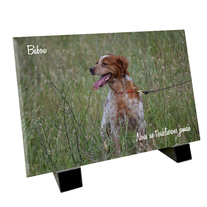 Plaque funéraire représentant un Épagneul Breton