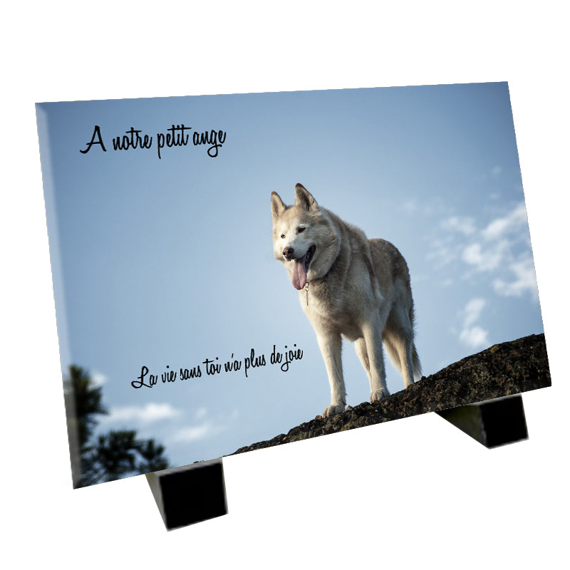 Plaque funéraire représentant un Husky de Sibérie