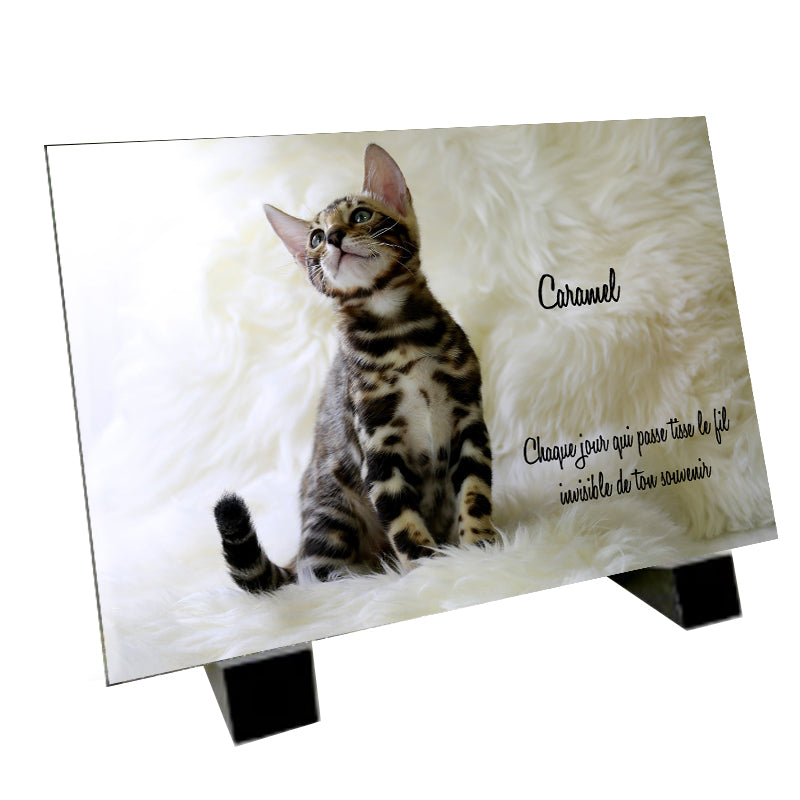 <plaque funéraire représentant un chat Bengal
