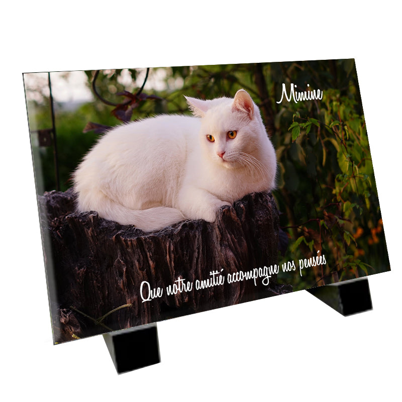 plaque funéraire représentant un chat Le British Shorthair