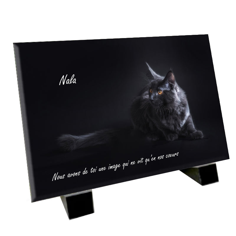Plaque funéraire représentant un Maine Coon
