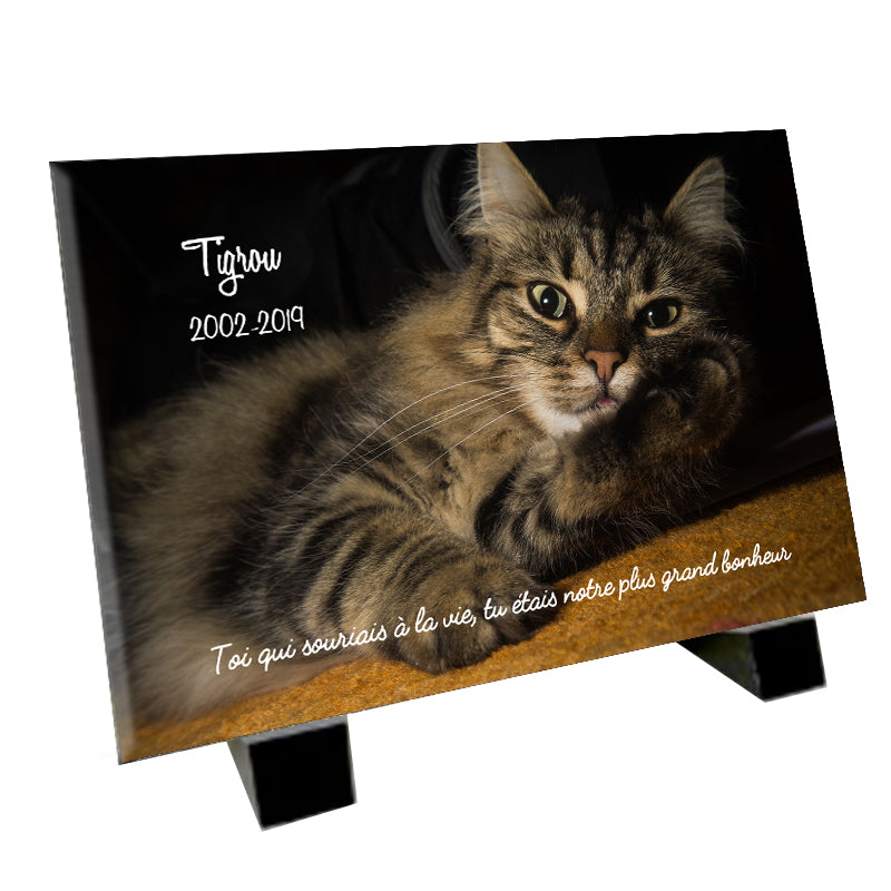 Plaque funéraire représentant un Norvégien