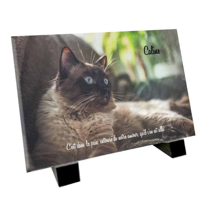 Plaque funéraire représentant un Ragdoll