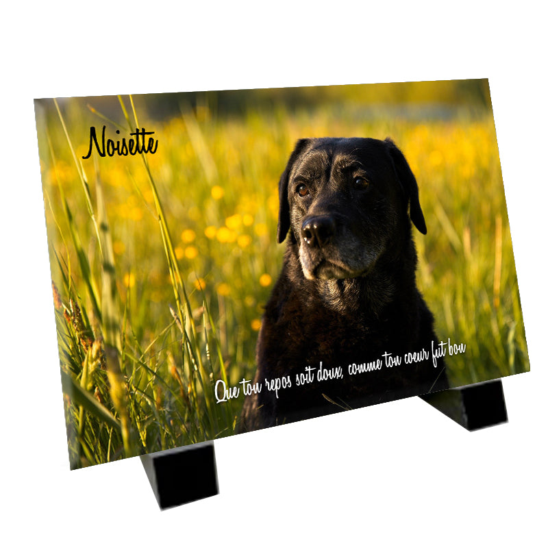 Plaque funéraire représentant un Retriever du Labrador