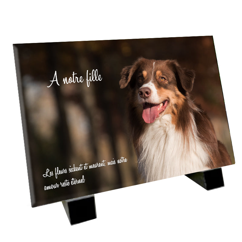 plaque funéraire représentant un Berger Australien