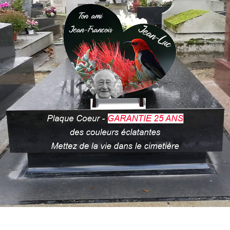 Plaque funéraire en forme de cœur "oiseau tropical | Lesplaquesdespetitsanges.com 