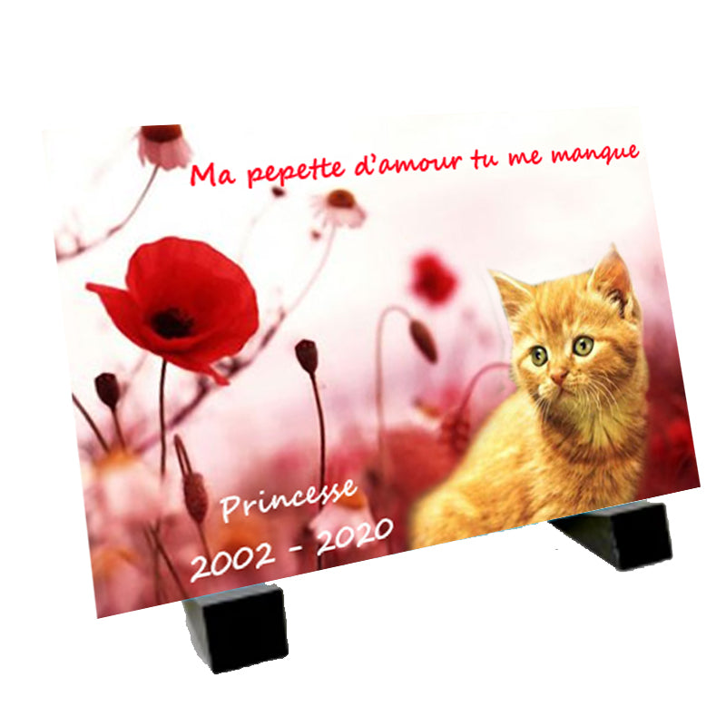 Plaque funéraire animaux avec ou sans photo - Offre spéciale -80%