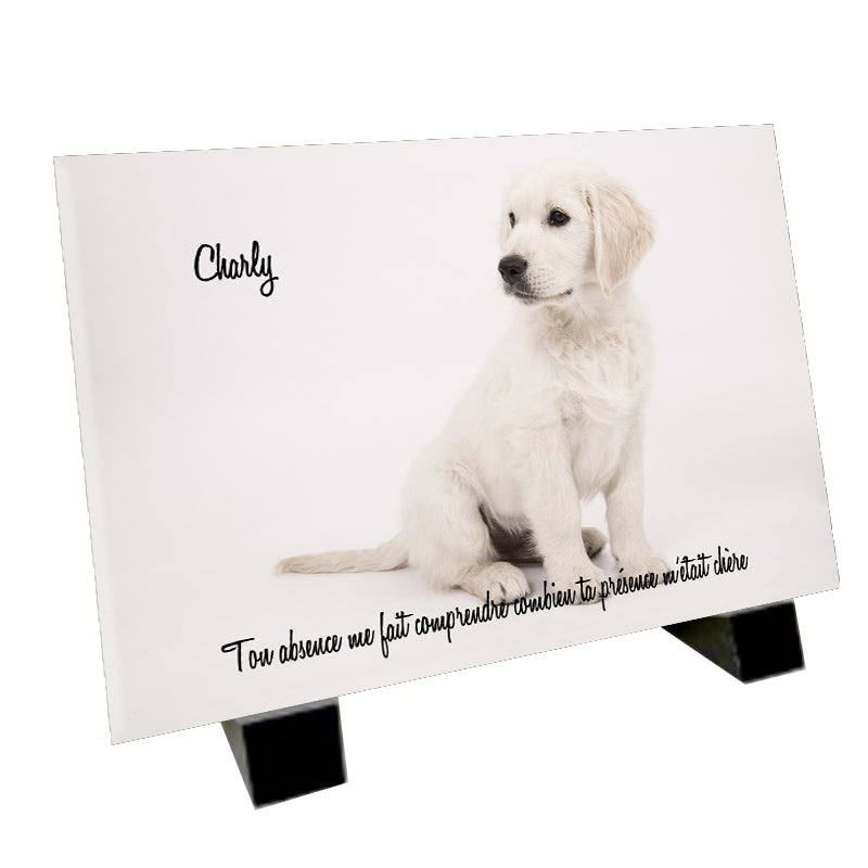 Plaque funéraire représentant un golden retriever