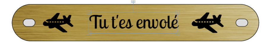 Inter funéraire - modèle avec pictogramme avion de ligne