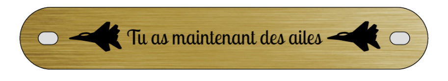 Inter funéraire - modèle avec pictogramme avion de chasse