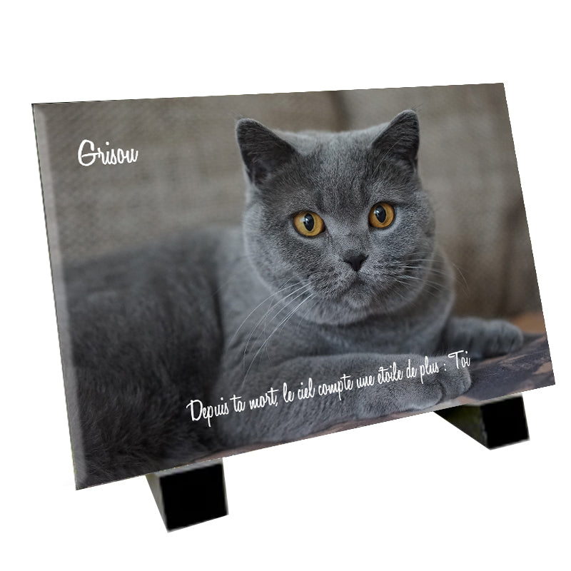 Plaque funéraire représentant un Chartreux