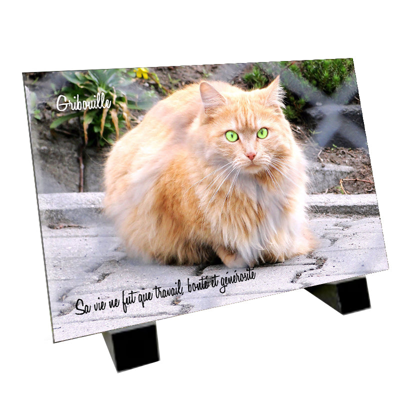 Plaque funéraire représentant un persan