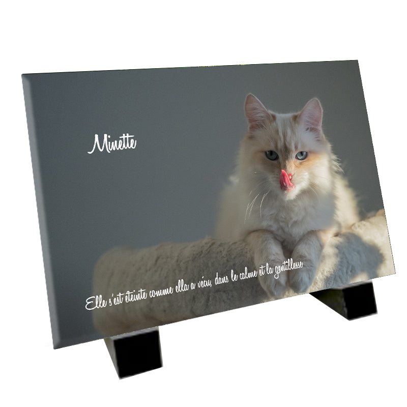 Plaque funéraire pour chat  "le sacré de birmani"