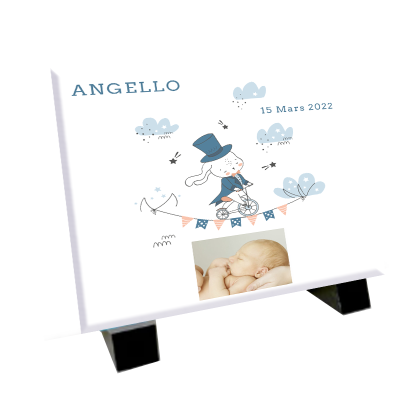 Plaque naissance modèle garçon avec un petit lapin