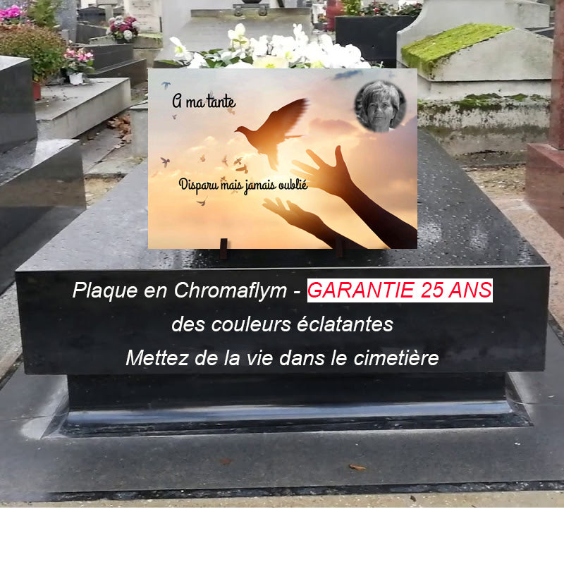plaque tombale colombe et couché de soleil